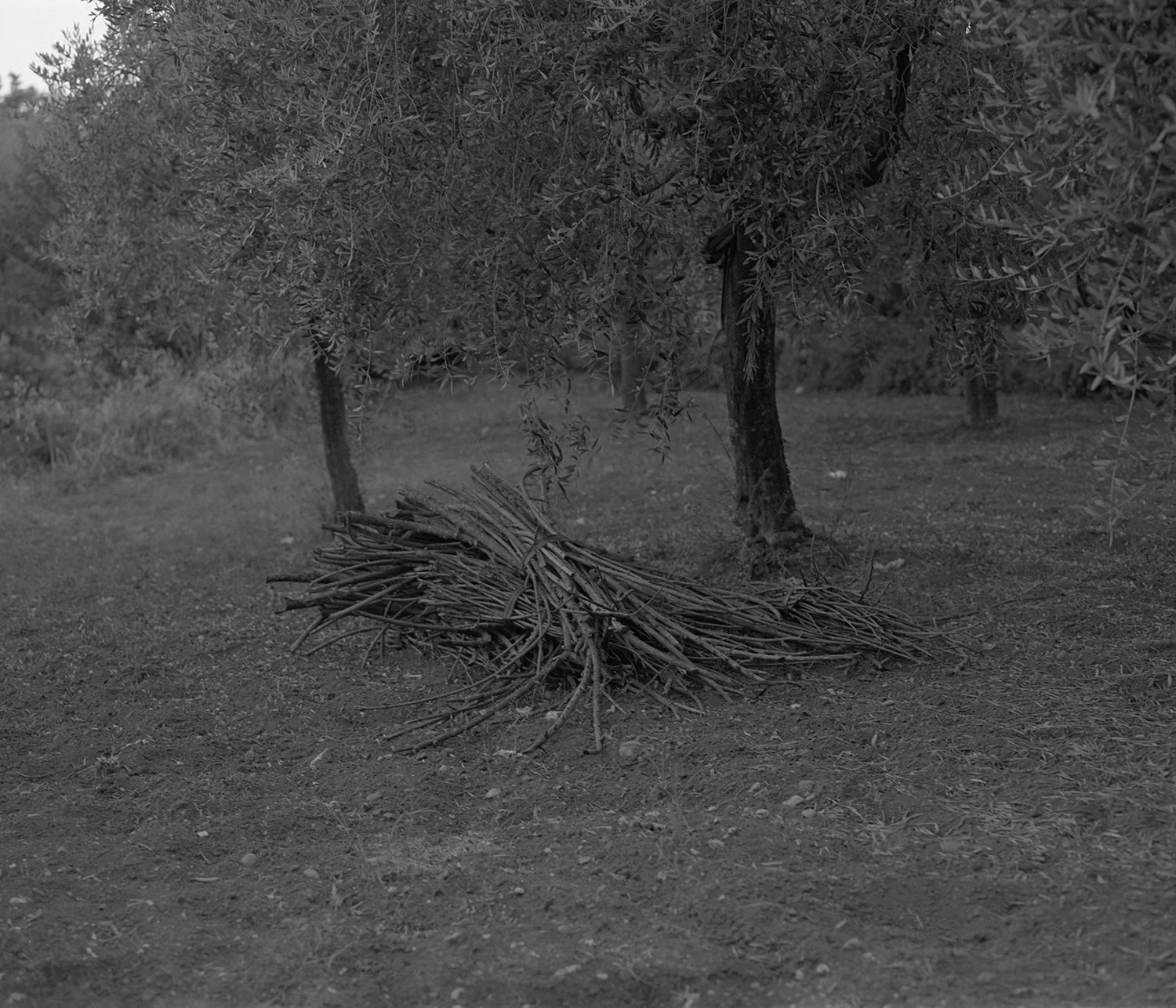 E-bw-july202503 copy.jpg