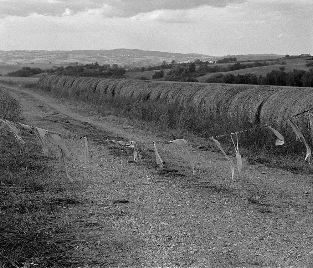 E-bw-july202540 copy.jpg