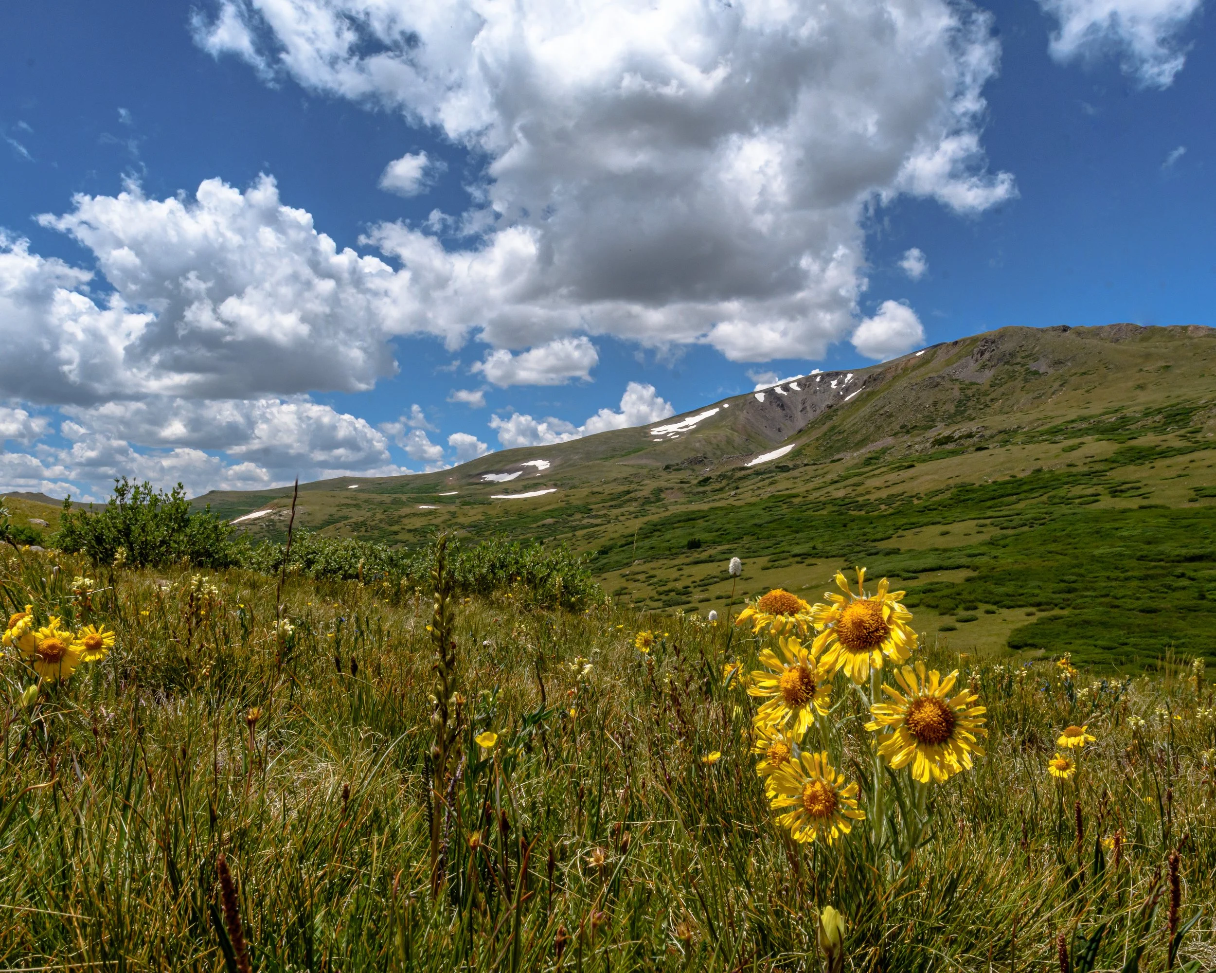 colorado-6437.jpg