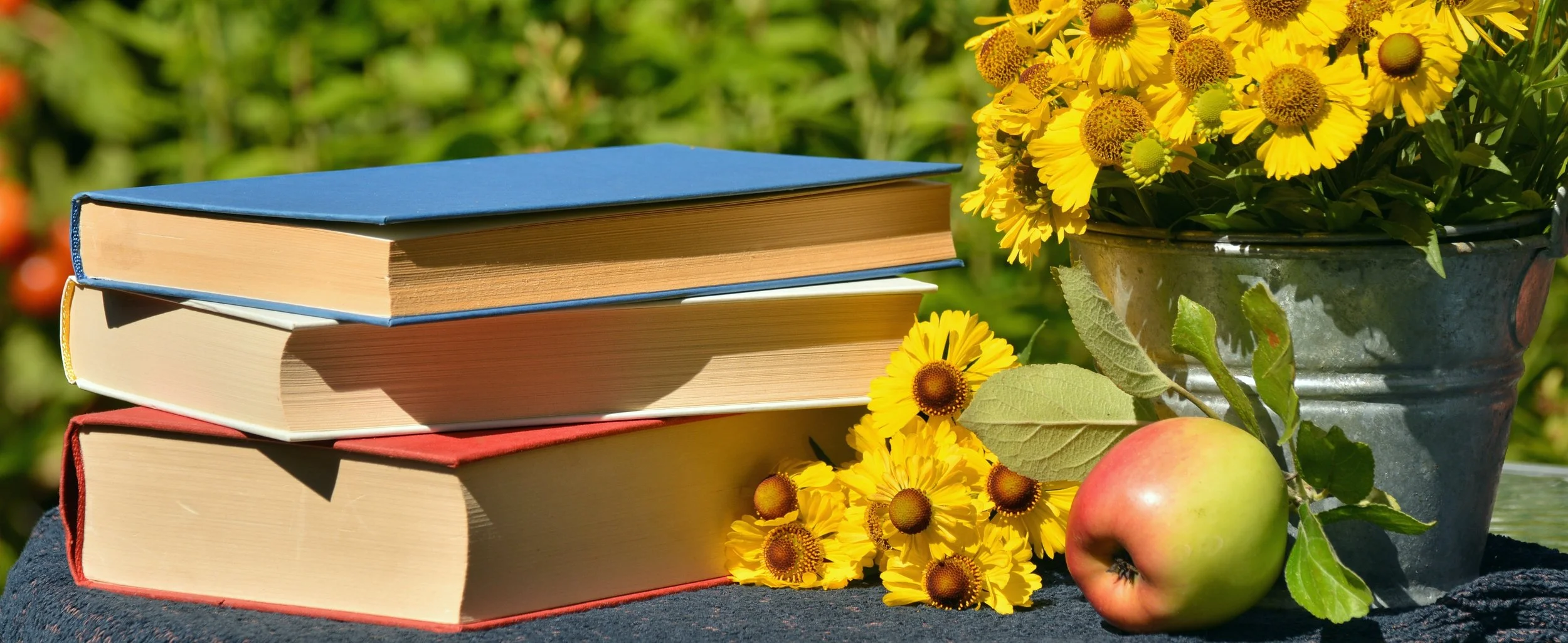 apple-books-close-up-261768.jpg