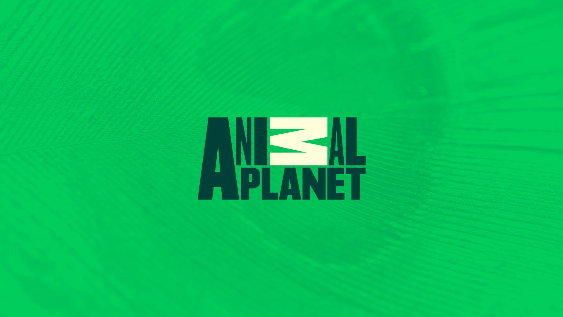 _apFrames1_0004_Layer 8.jpg