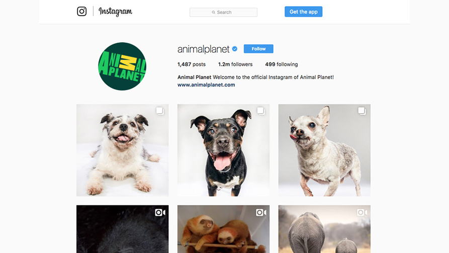 _APSocial_0000_Layer 1.jpg