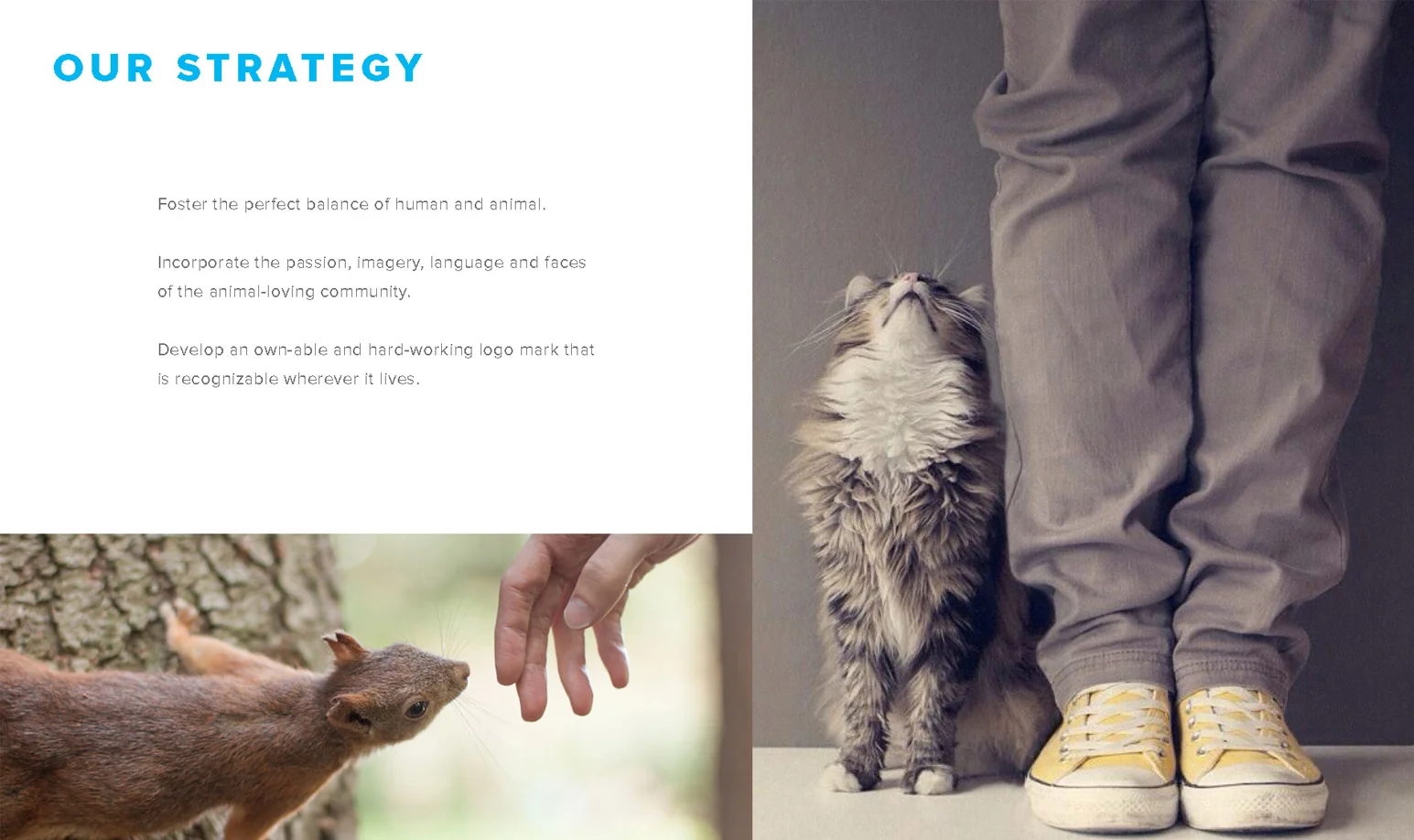 _AP_PitchDeck_0001_AP_Pitch_Page_02.jpg.jpg