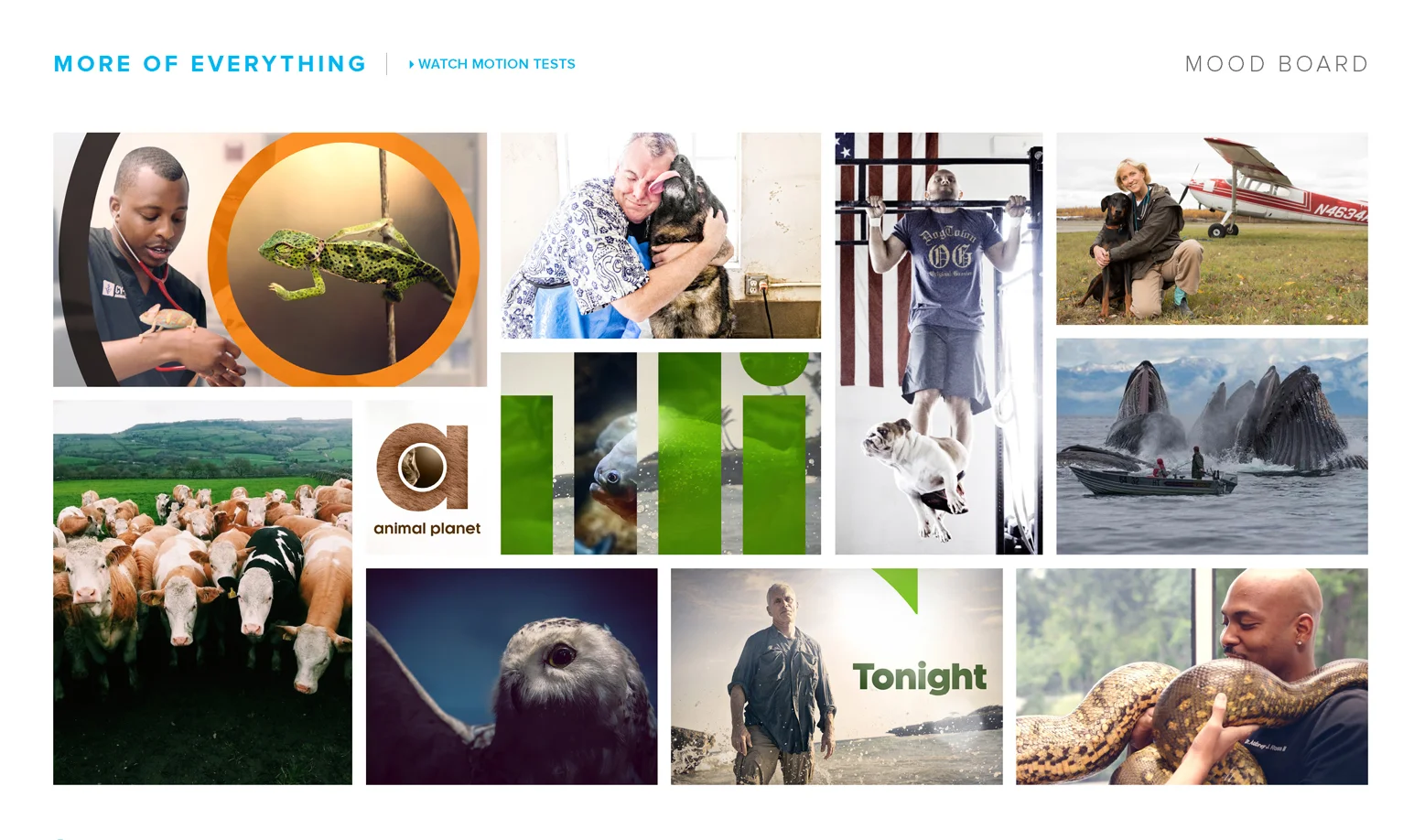 _AP_PitchDeck_0009_AP_Pitch_Page_10.jpg.jpg