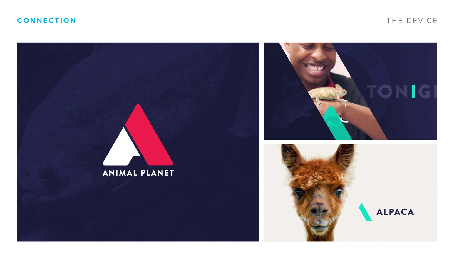 _AP_PitchDeck_0022_AP_Pitch_Page_23.jpg.jpg