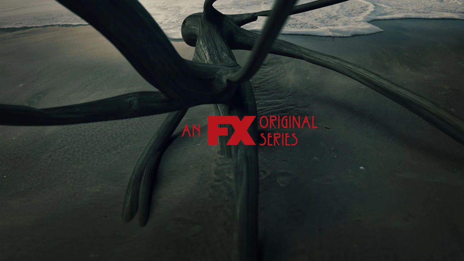 ahs_04.jpg