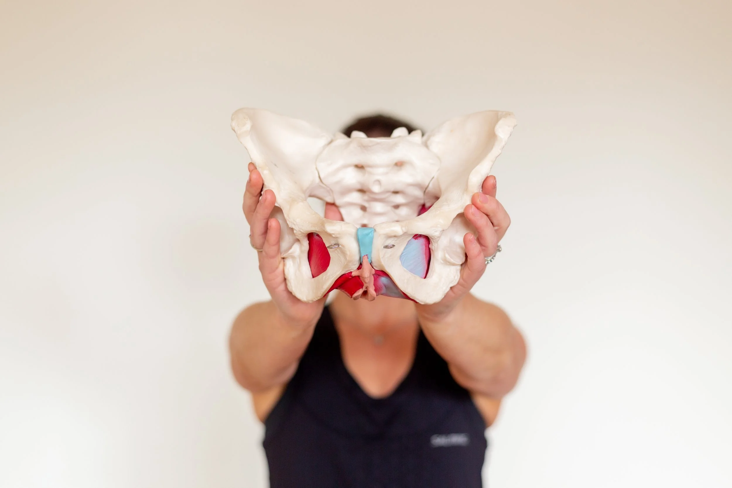Inside the Pelvis: What Dissecting a Cadaver Taught Me About Healing