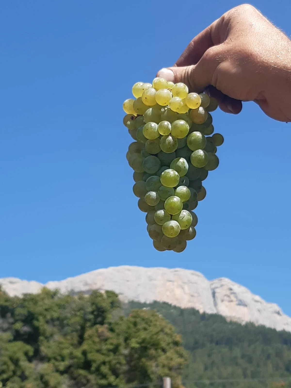 WhatsApp Image 2025-03-25 at 14.30.55_a646e84a.jpg