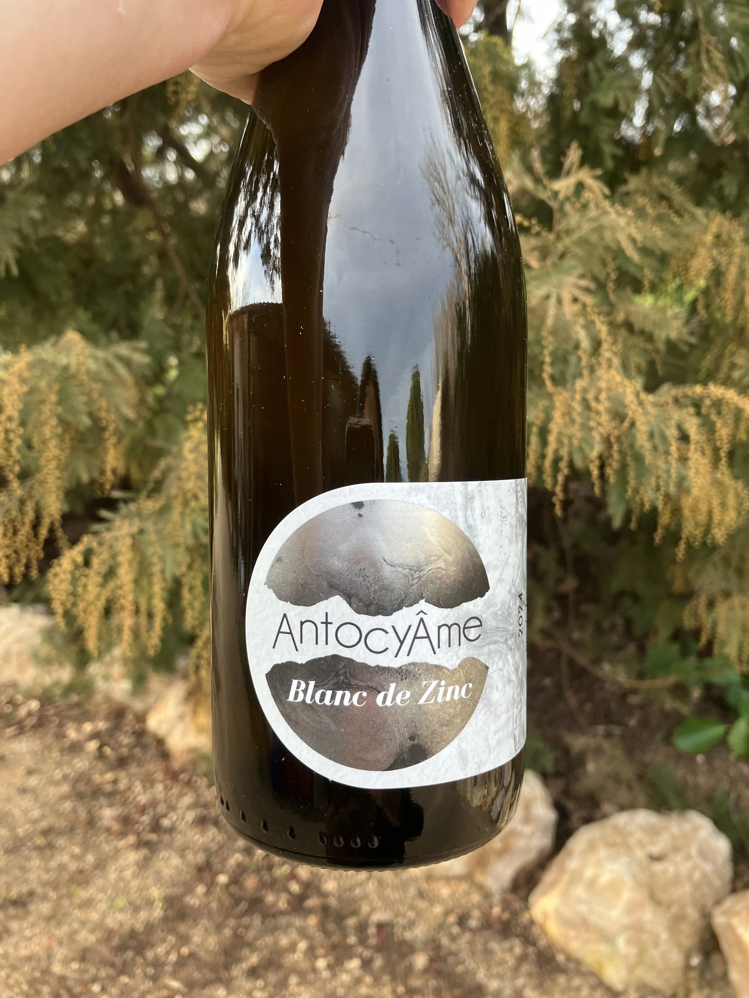 AntocyÂme	- Blanc de Zinc 2024