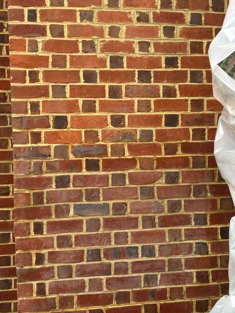 WhatsApp Image 2026-03-13 at 12.24.42 AM.jpeg