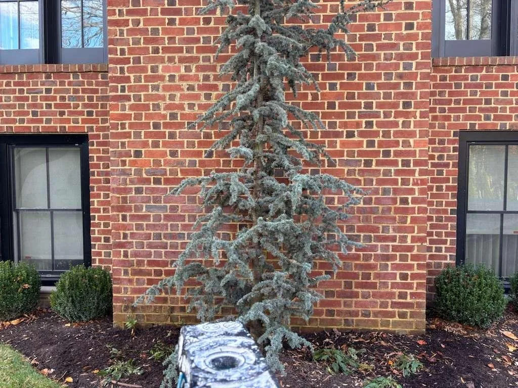 WhatsApp Image 2026-03-13 at 12.24.42 AM (1).jpeg