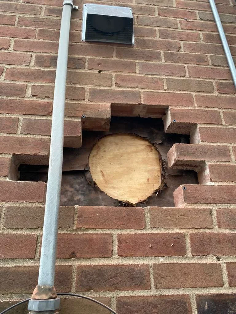 WhatsApp Image 2026-04-03 at 9.29.45 AM (2).jpeg