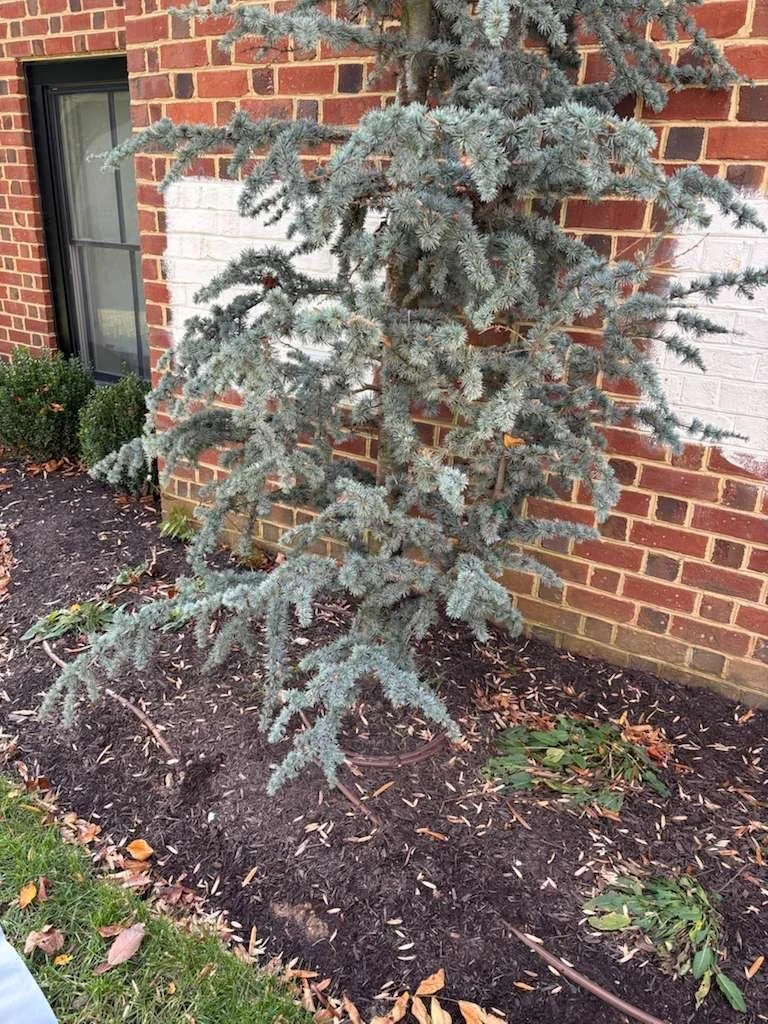 WhatsApp Image 2026-03-13 at 12.24.41 AM.jpeg