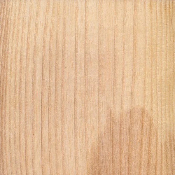 Ash Fraxinus Excelsior.jpg