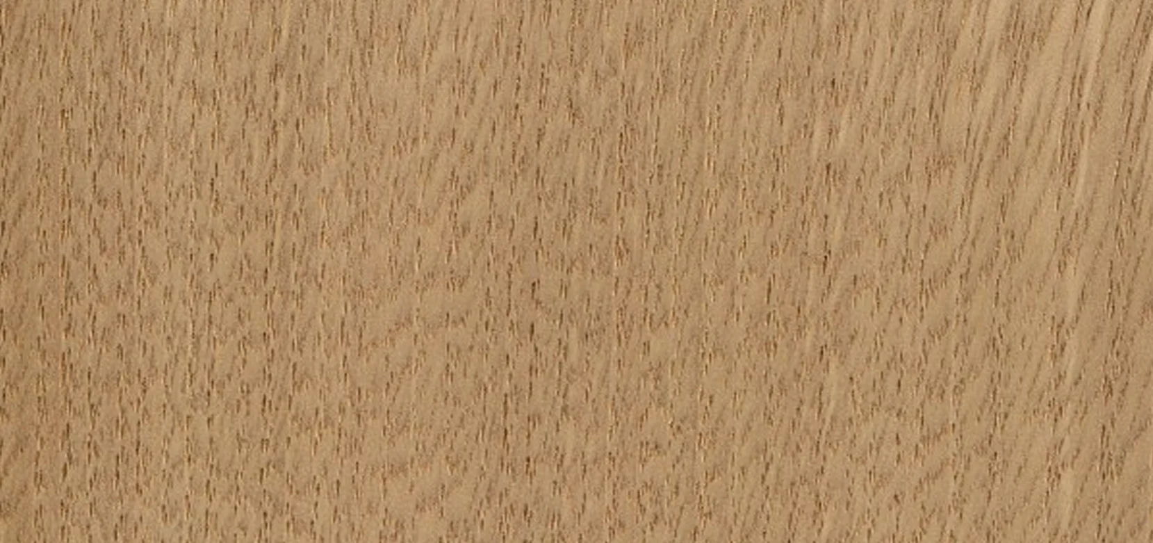 chestnut.jpg