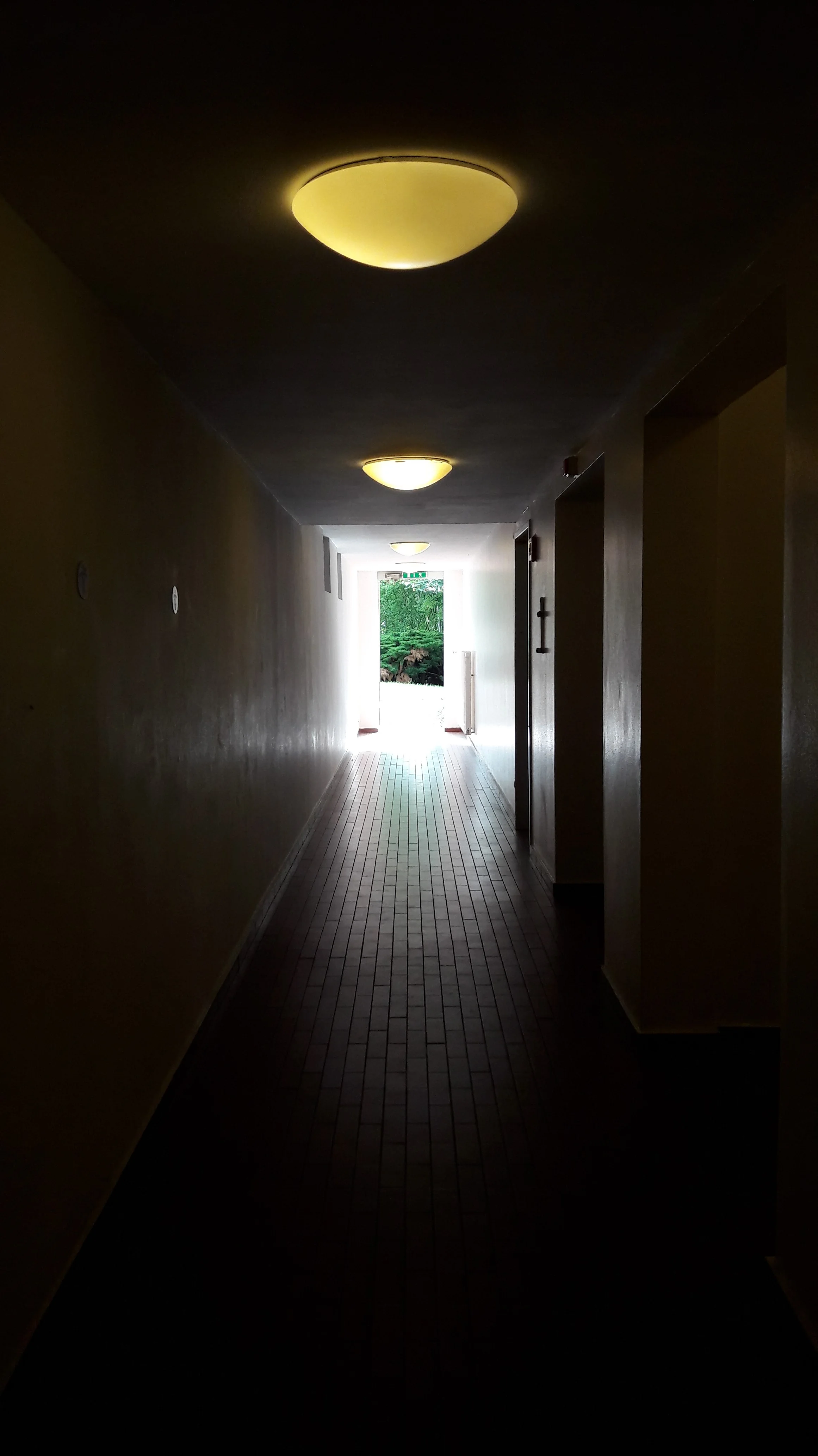 20160815_163904.jpg