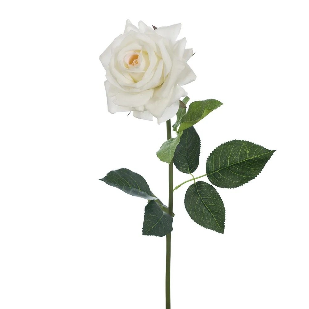 Image 4.jpeg