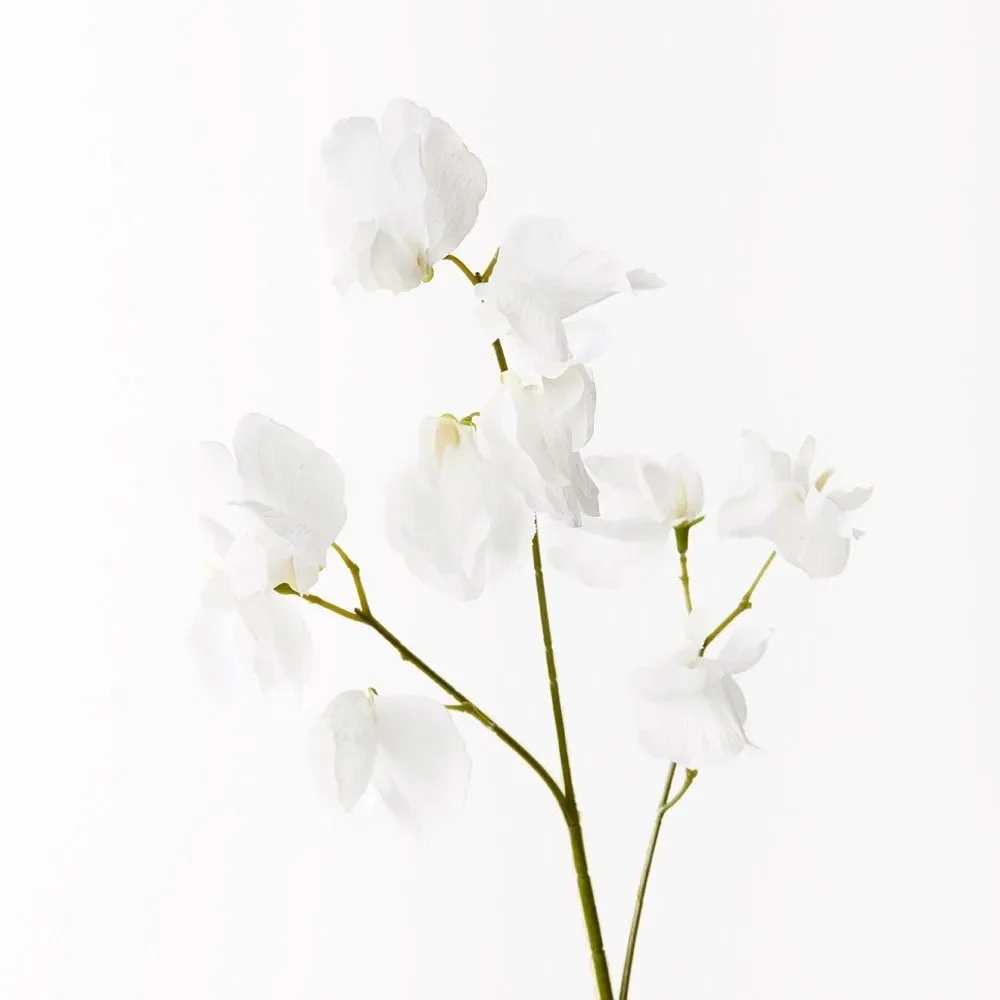 Image 23.jpeg