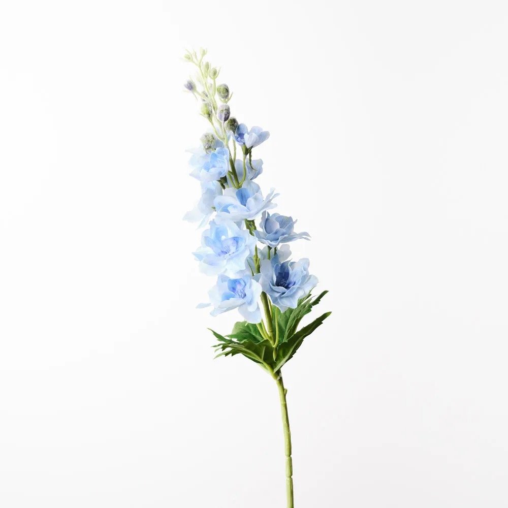 Image 16.jpeg