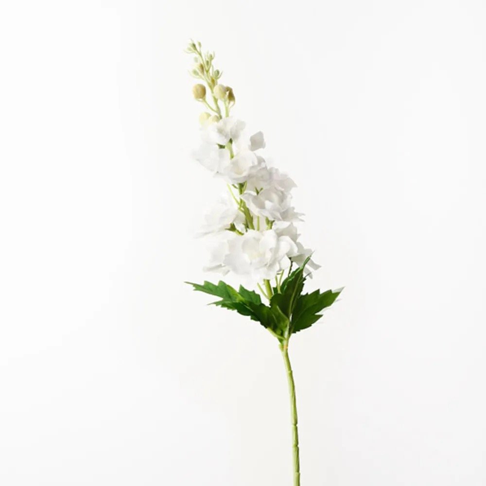 Image 17.jpeg