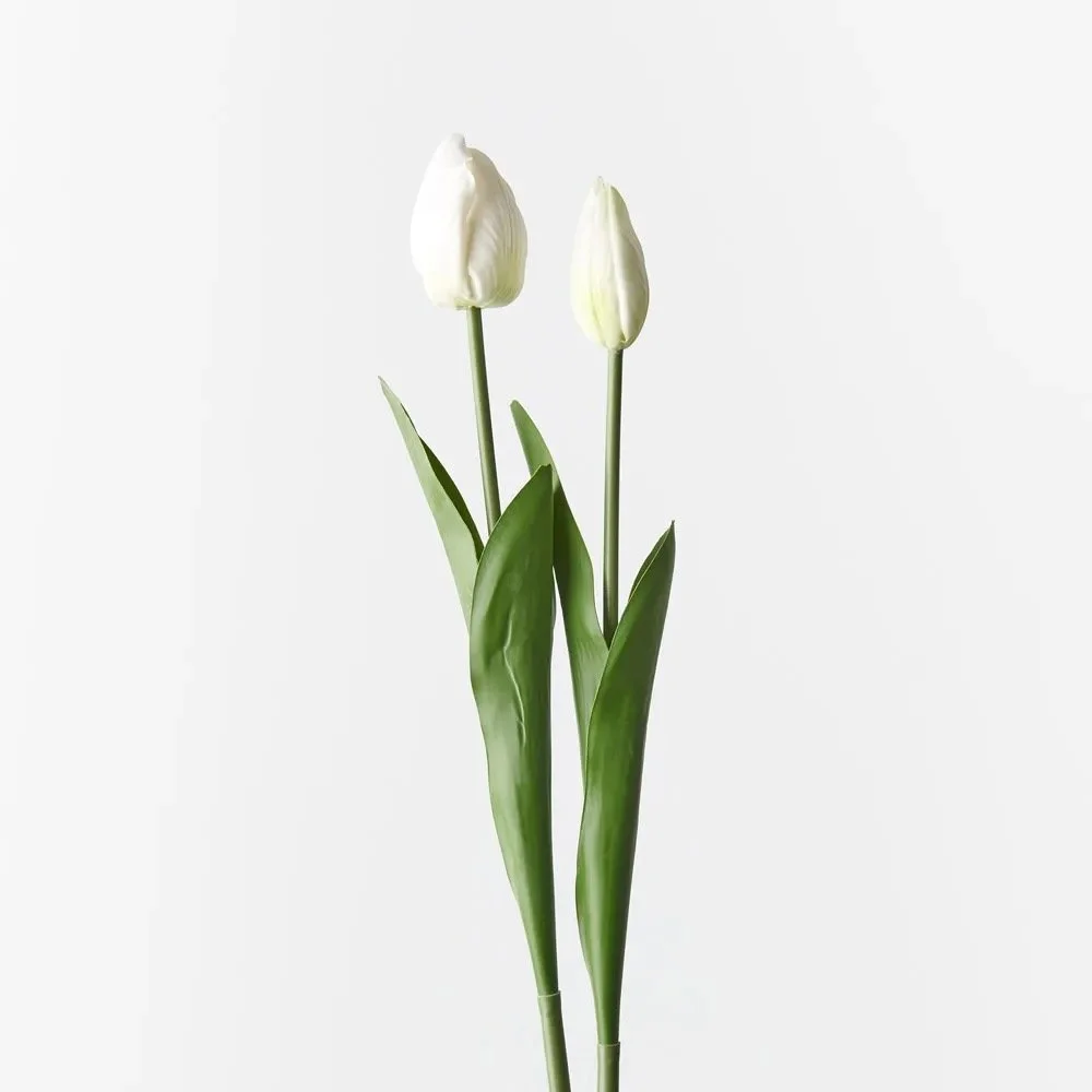 Image 15.jpeg