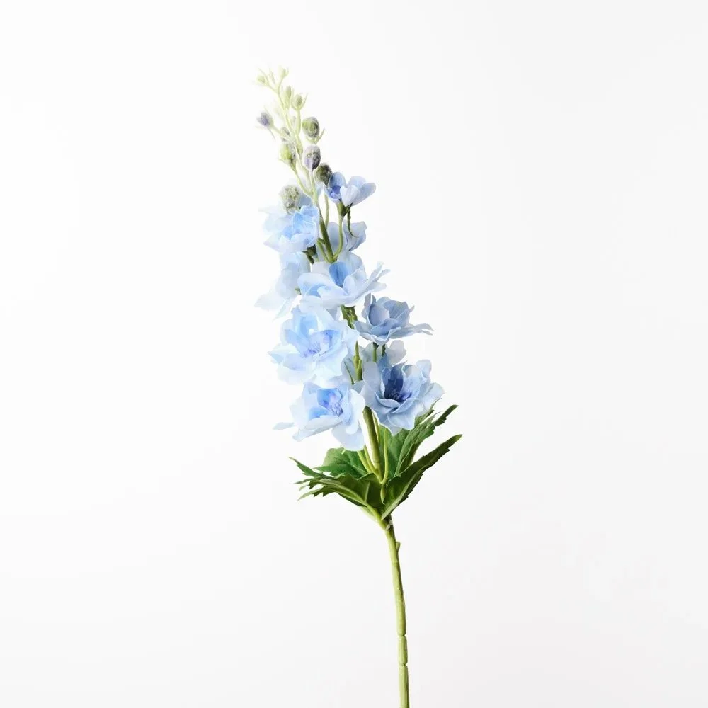 Image 16.jpeg