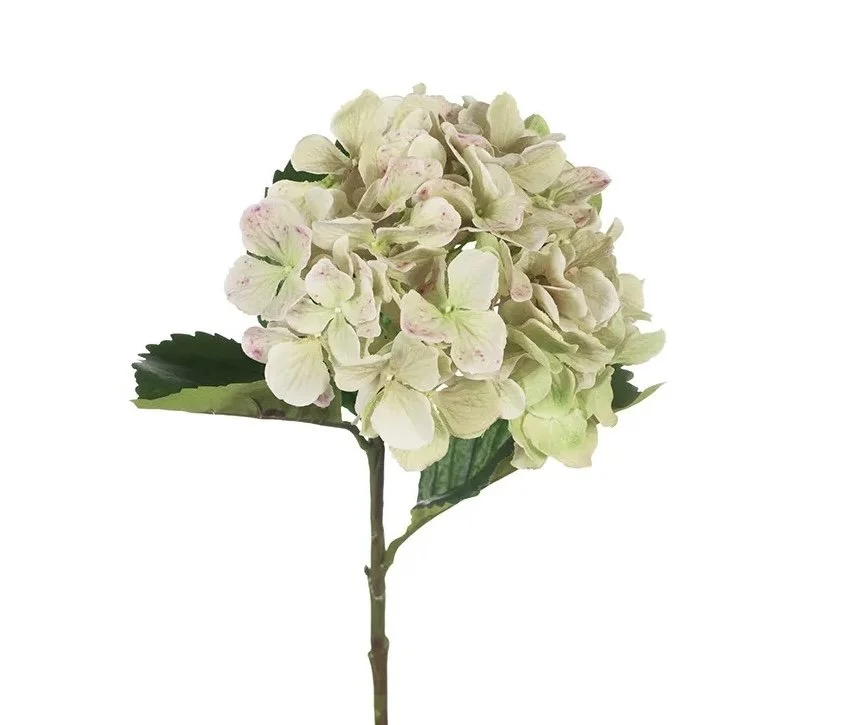 Image 21.jpg
