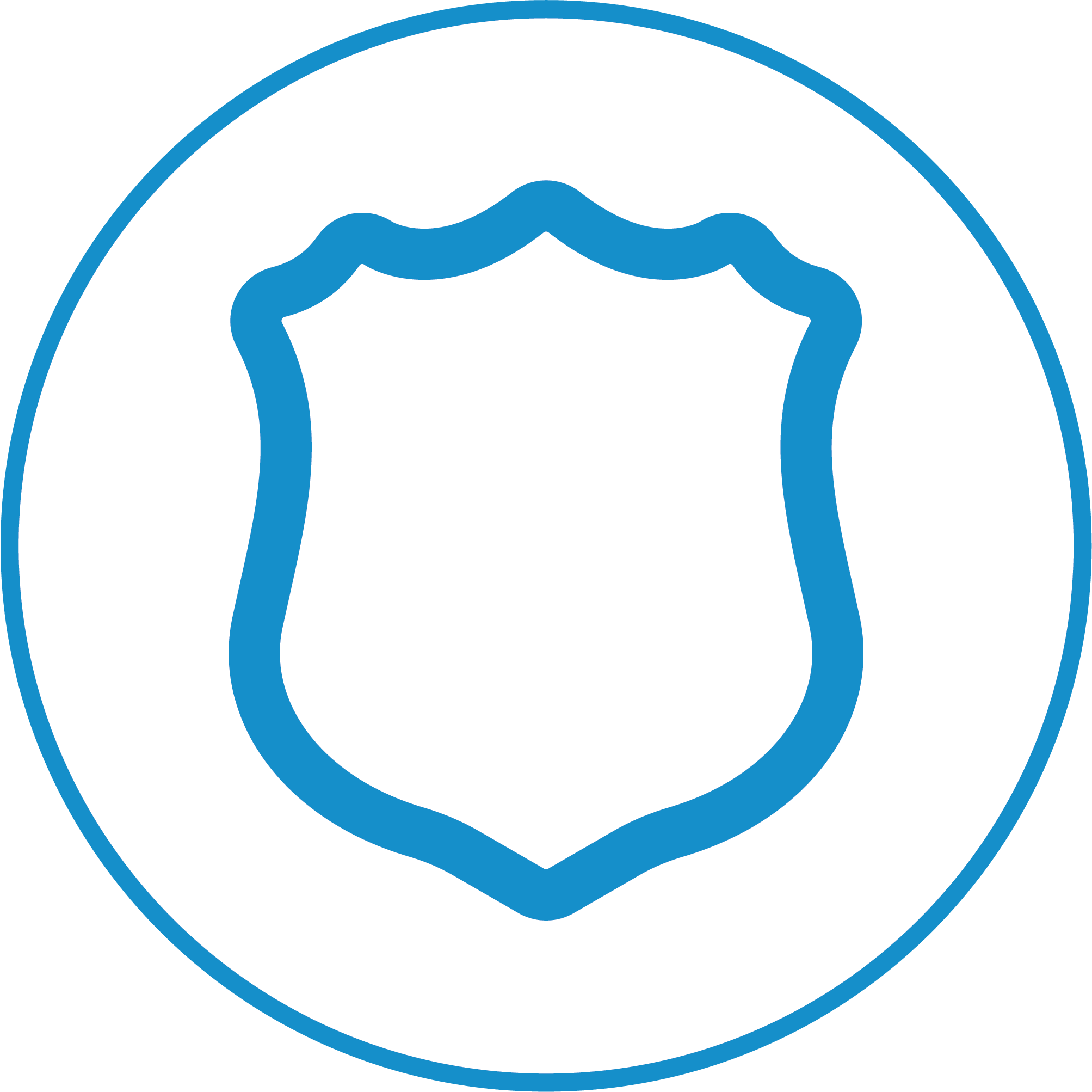 Public Safety Icon.png
