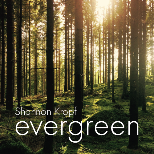 evergreen (MP3)