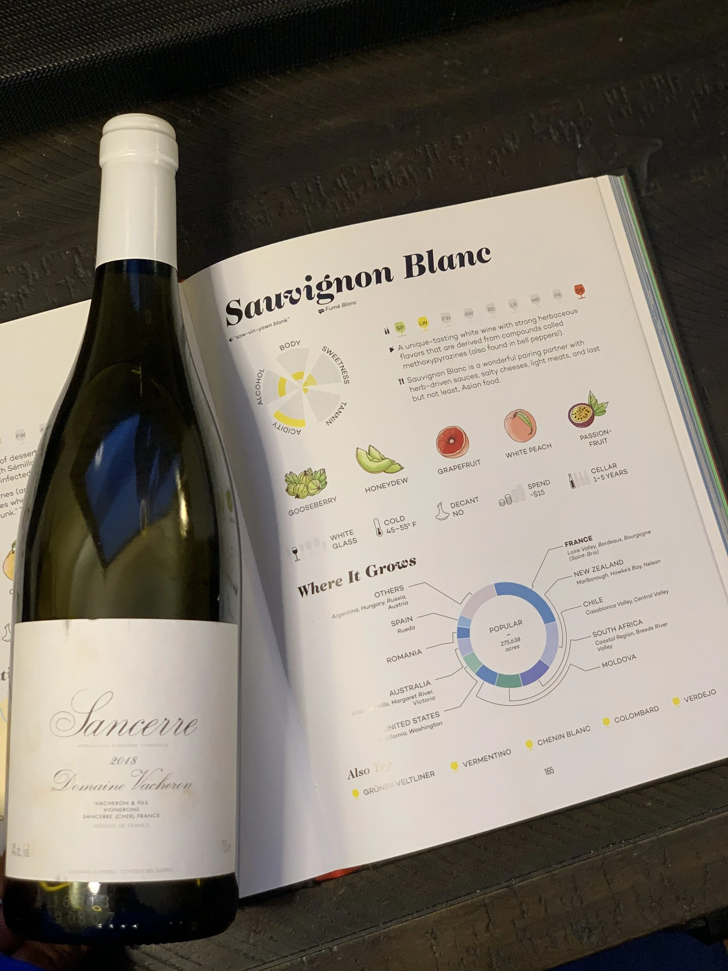 THE 18 NOBLE GRAPES: SAUVIGNON BLANC