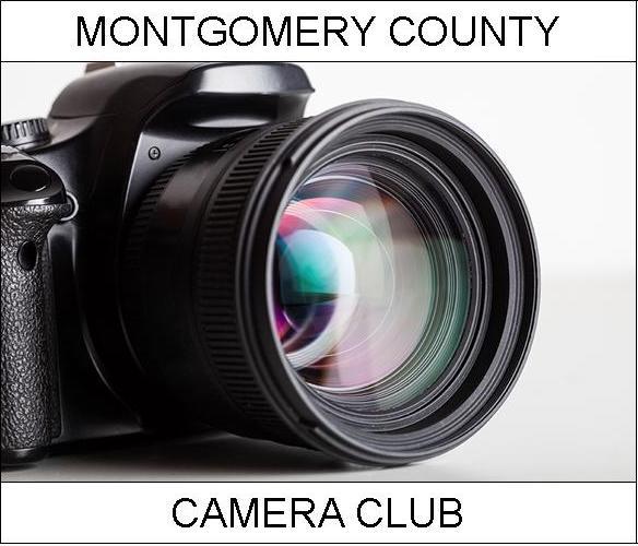 Copy of Moco Logo with Name - Copy 3 - no bold - Shortened - USE.jpg