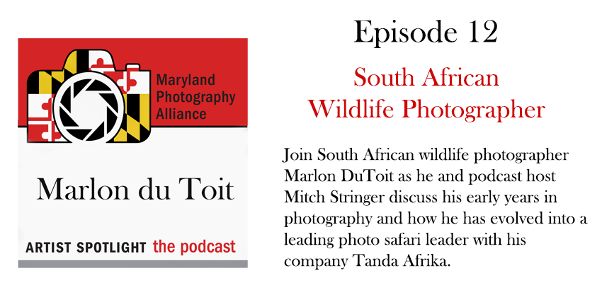 12 - Marlon du Toit.png