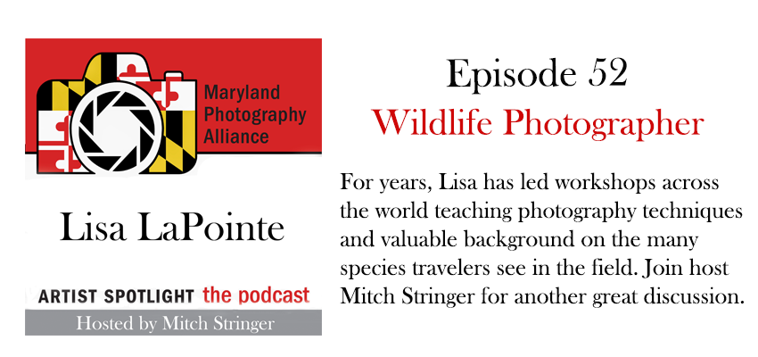 52 - Lisa LaPointe.png