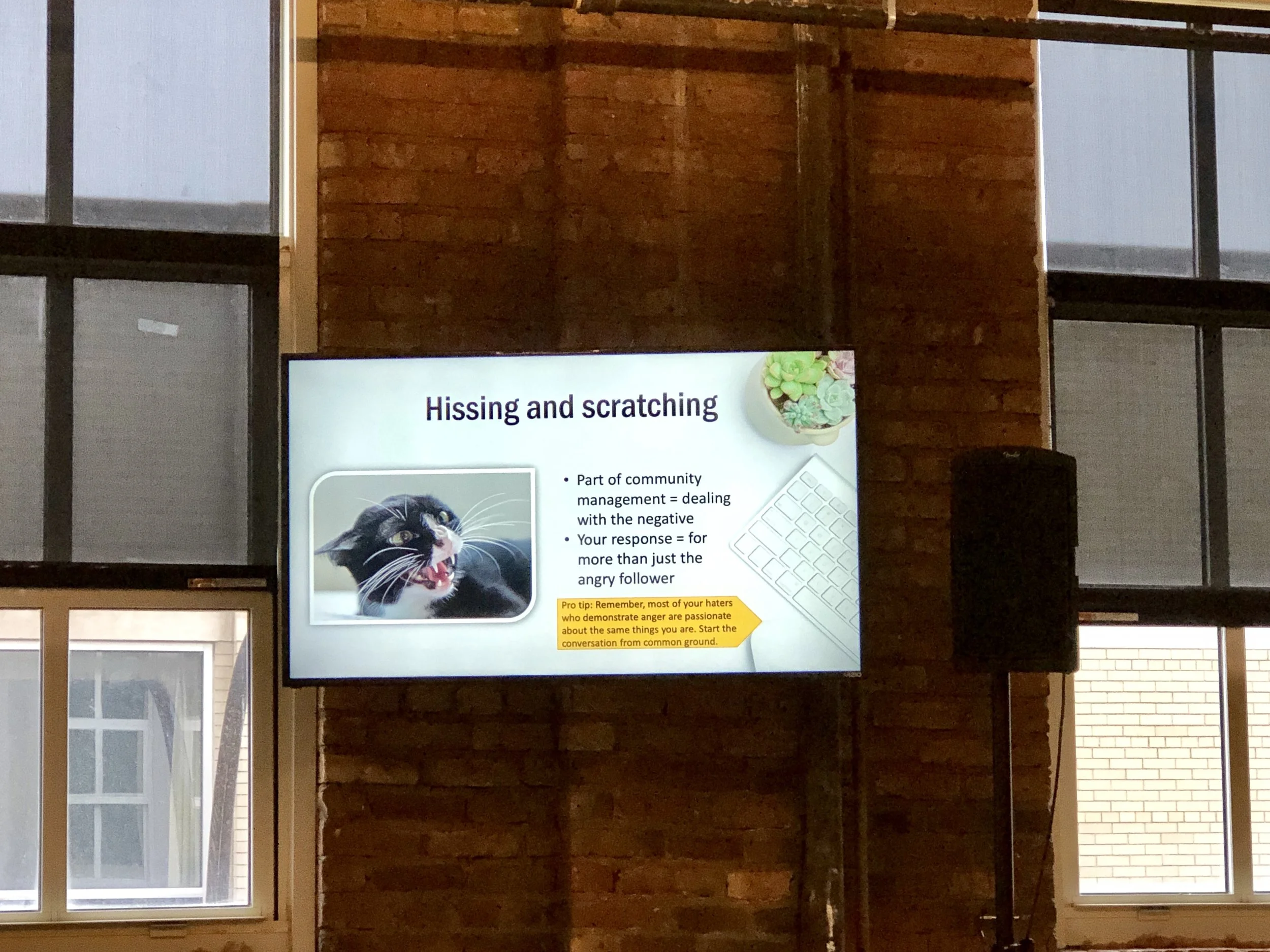 No matter the industry, we’re all bound to run into some hissing & scratching online.