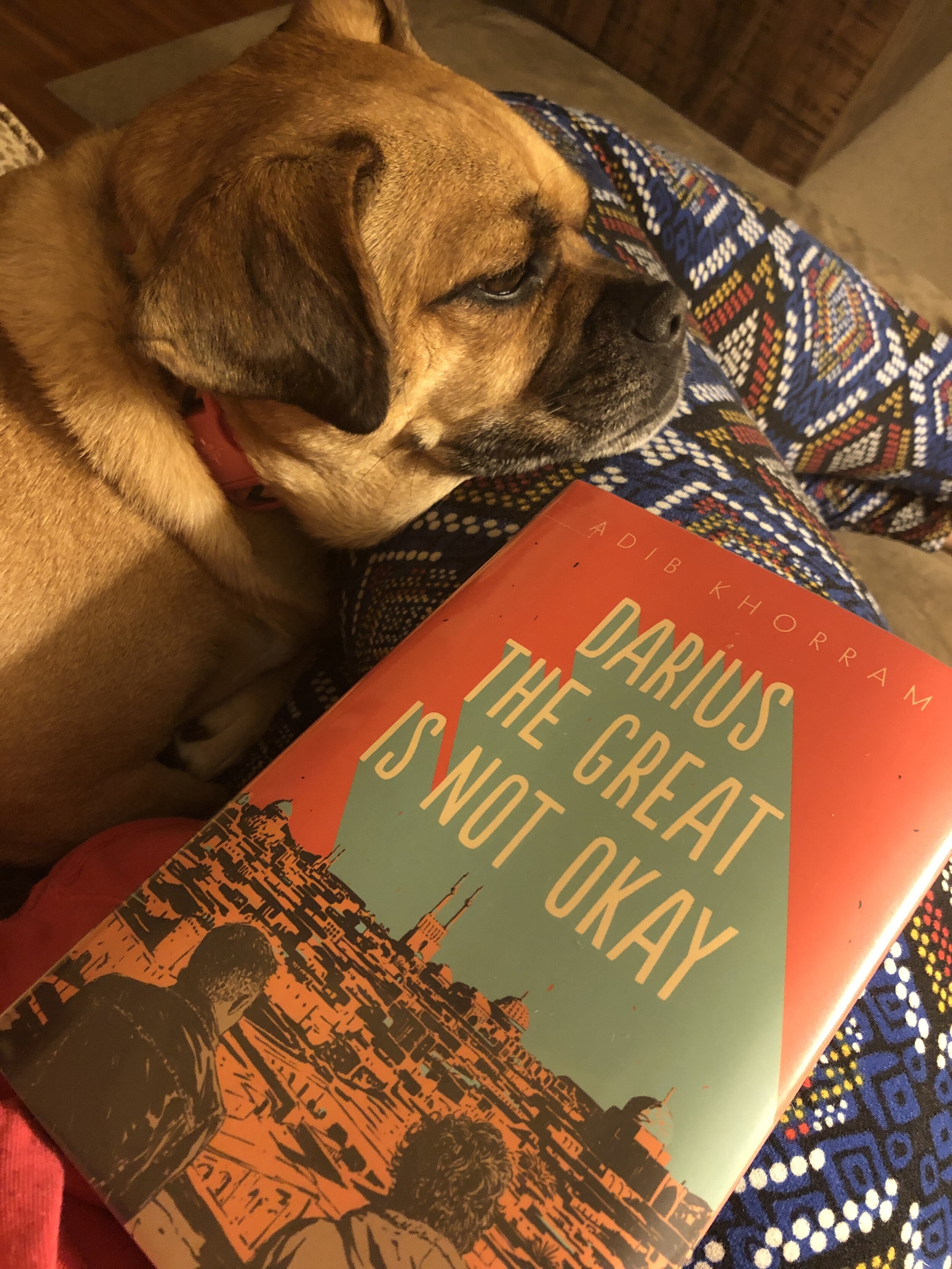 Reading is better with canine companions