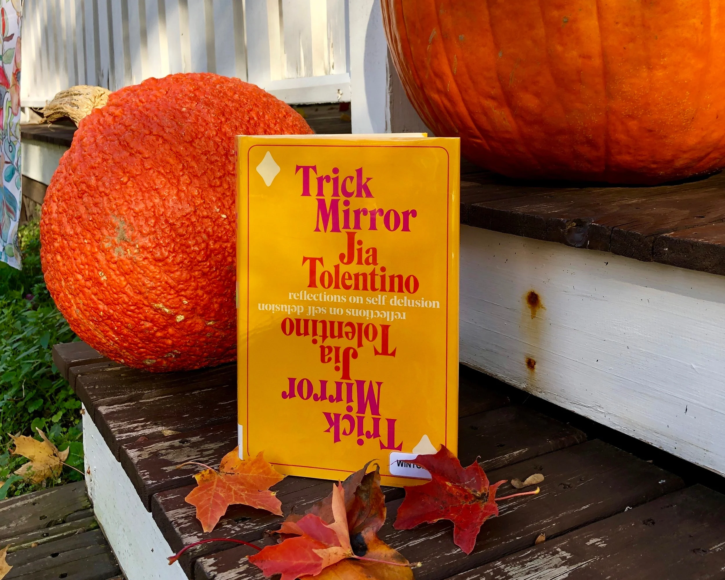 So...I Read 100 Books in 10 Months