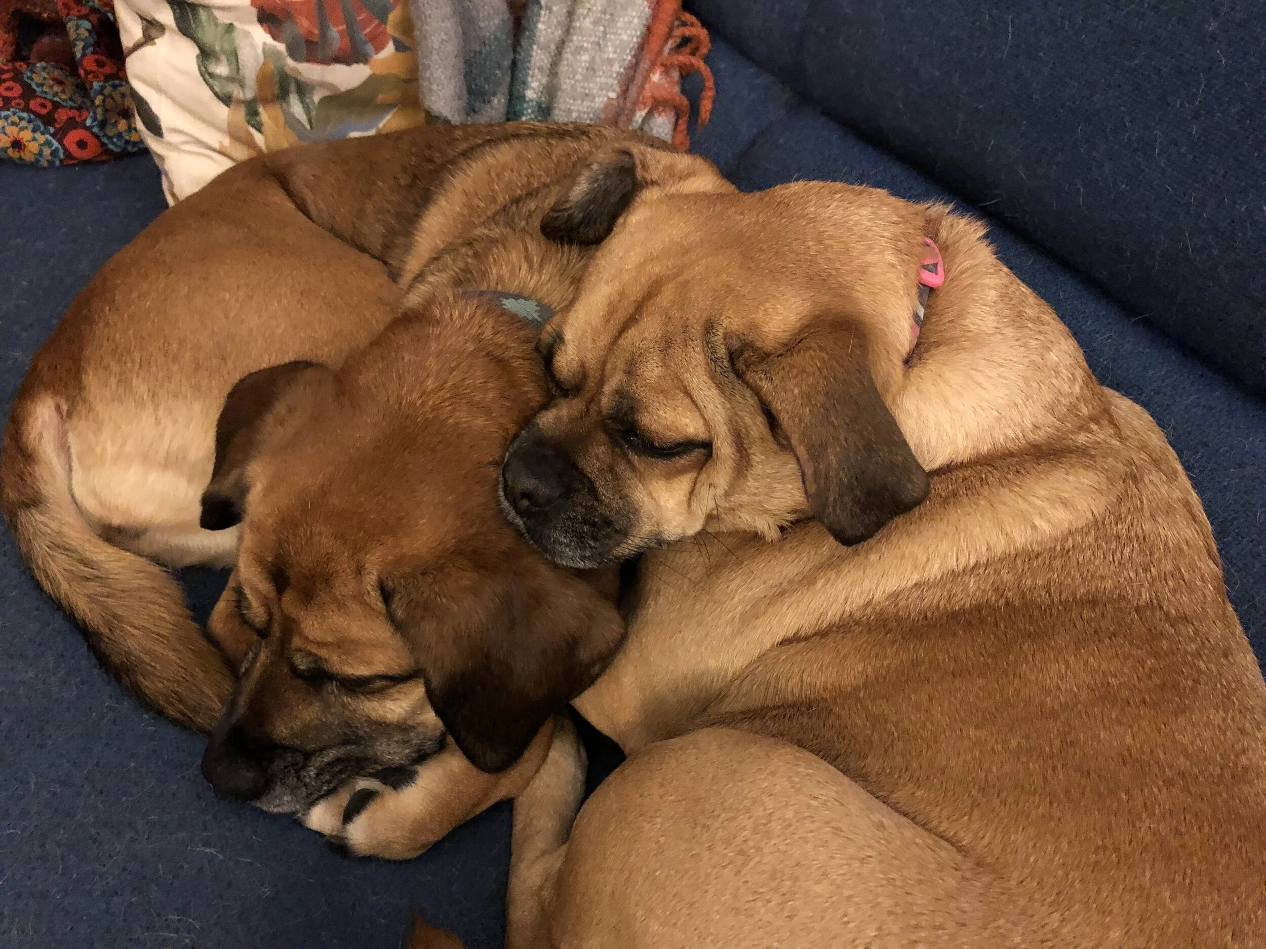 6 Things I'm Thankful for as a Small Business Owner