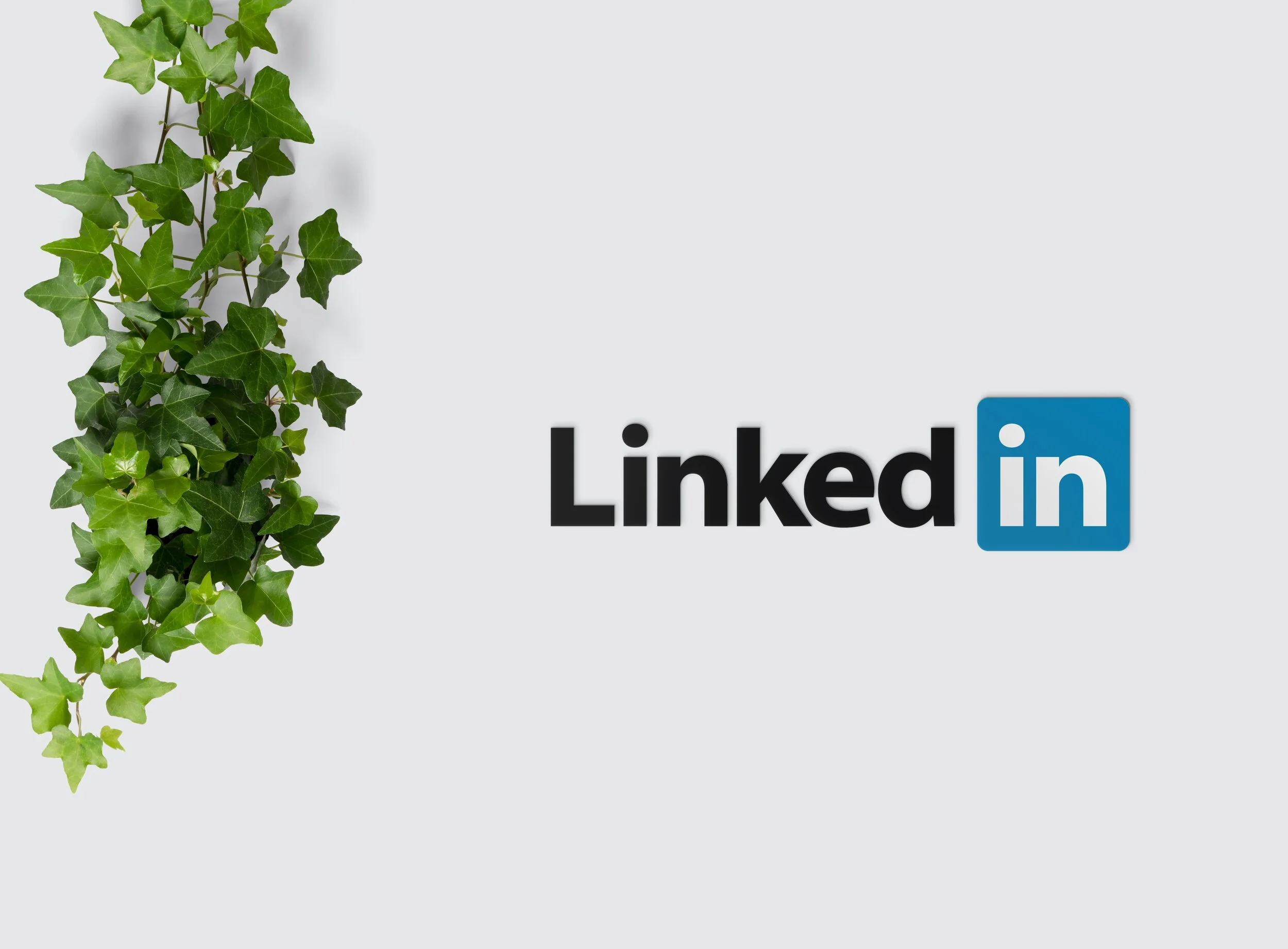 12 Things Not to Do on LinkedIn