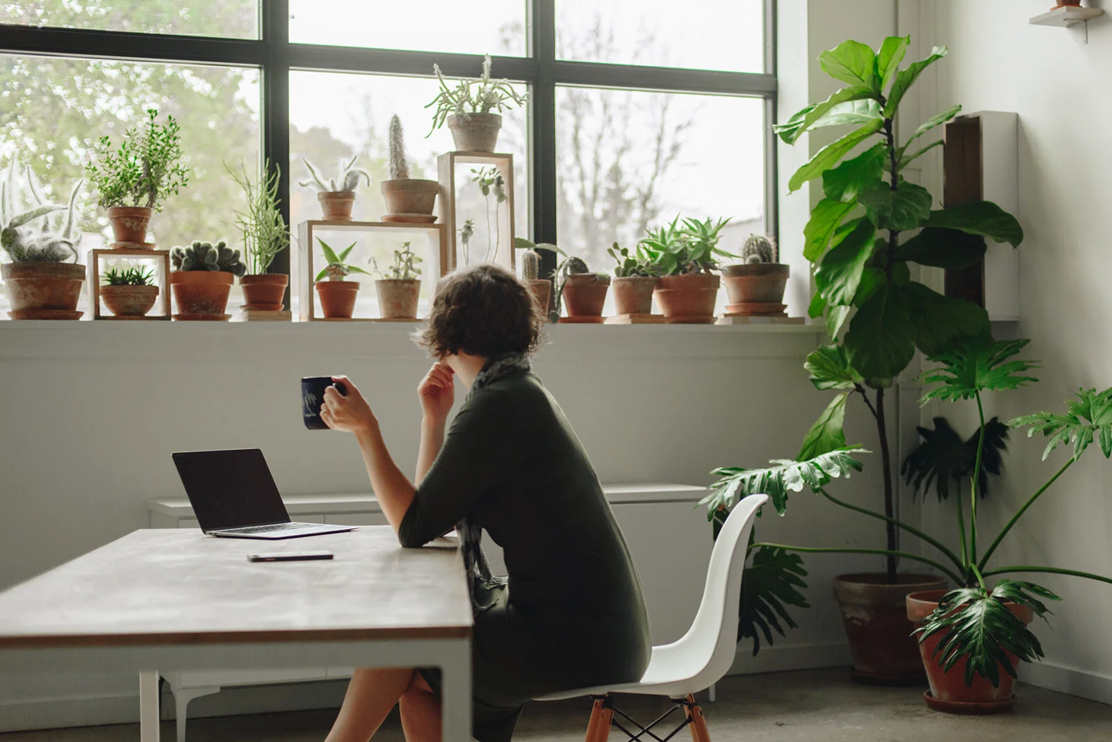 Why I Ended My Passion Project