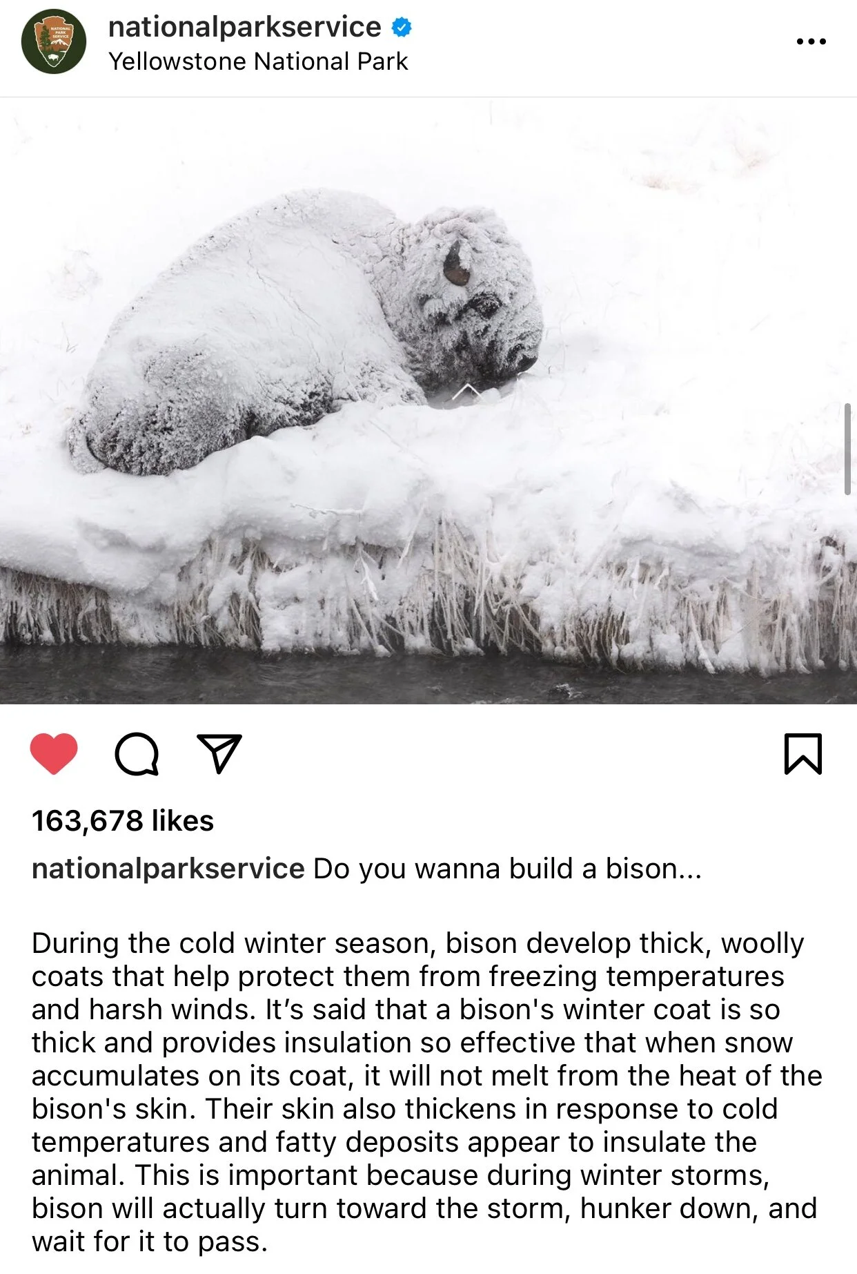 The National Park Service has a post that can be read in short or long form: “Do you wanna build a bison…” is a great caption on its own, but you can also learn more about bisons if you read the full caption!