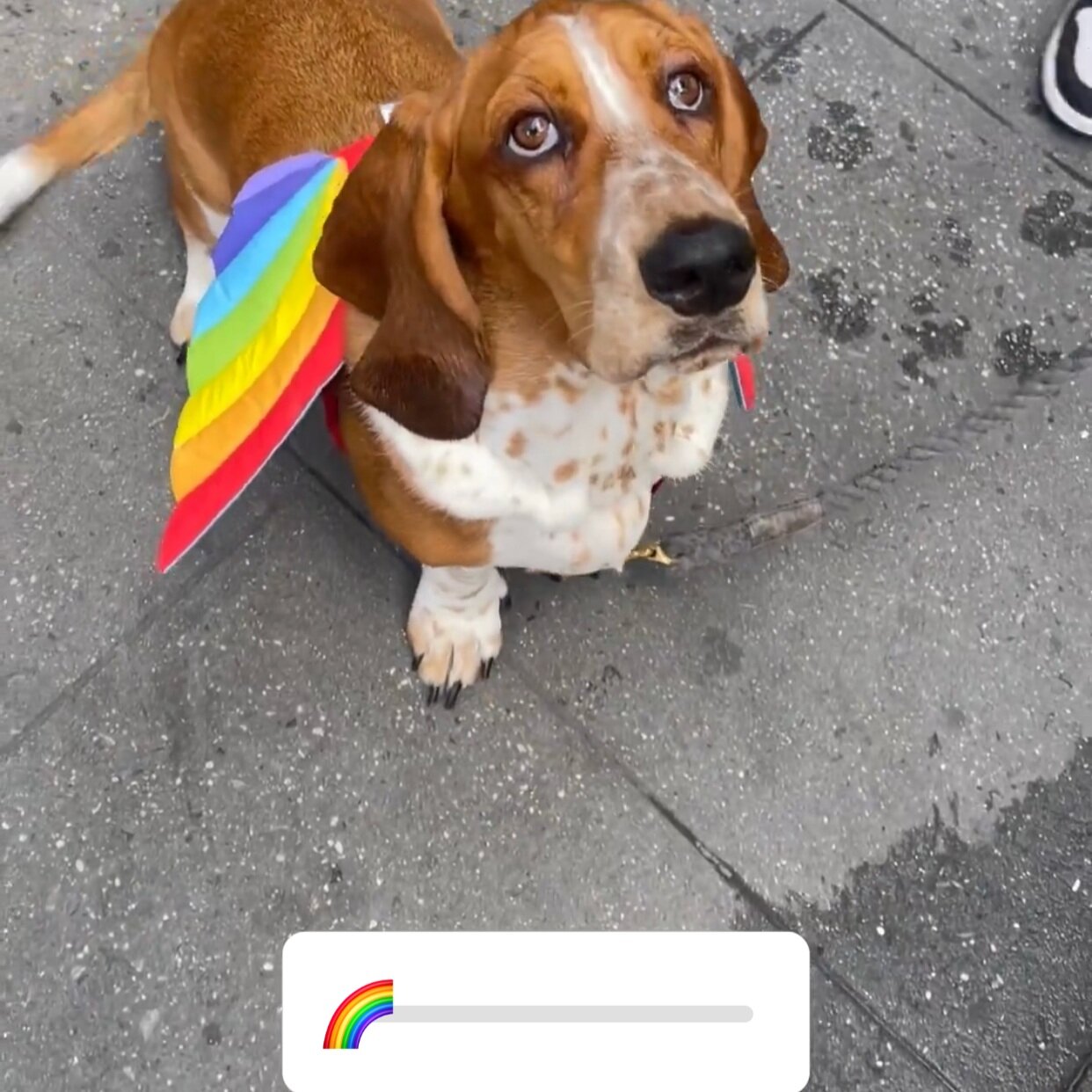Emoji slider by @thedogist