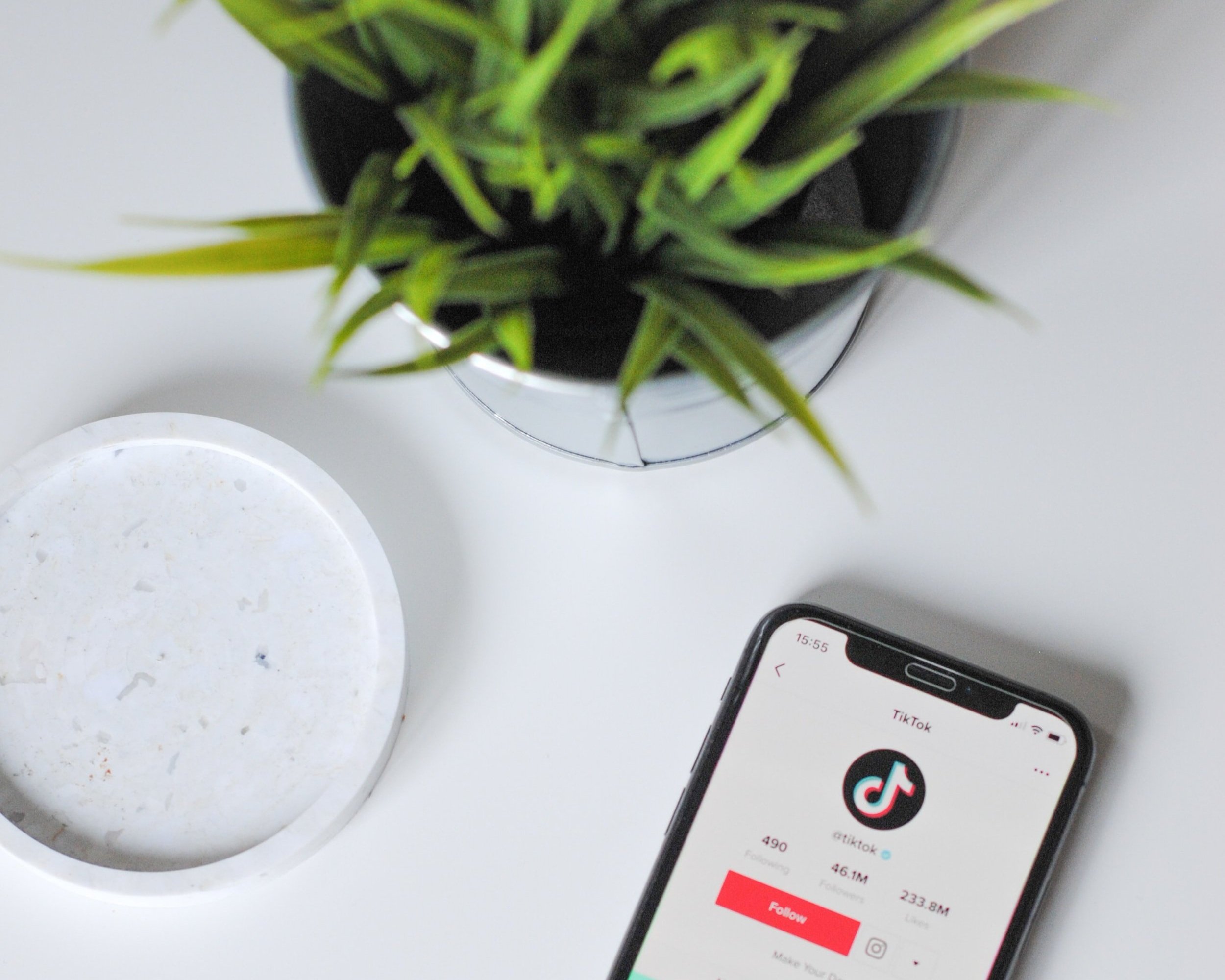 TikTok for Small Businesses