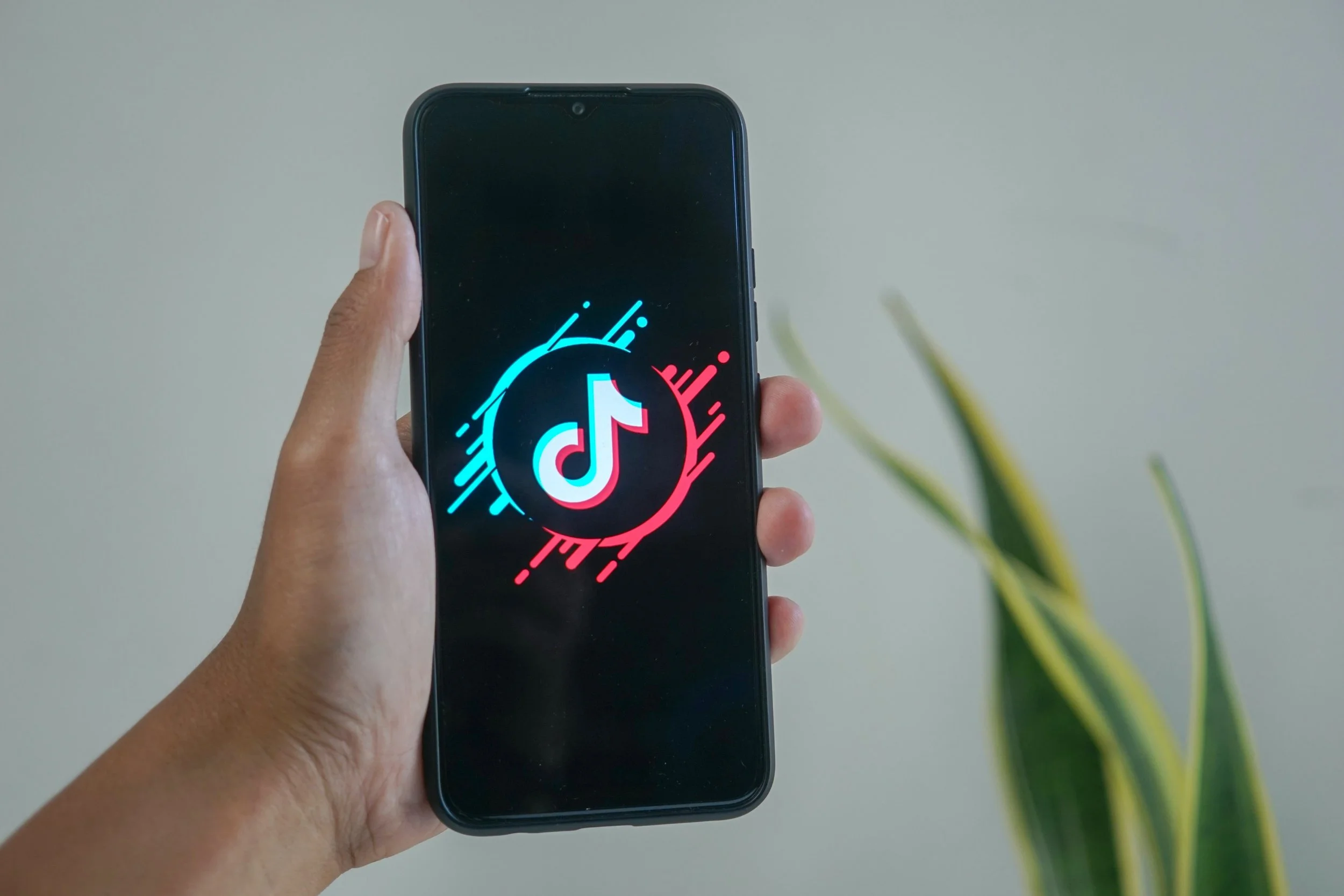 How Do Hashtags Work on TikTok?