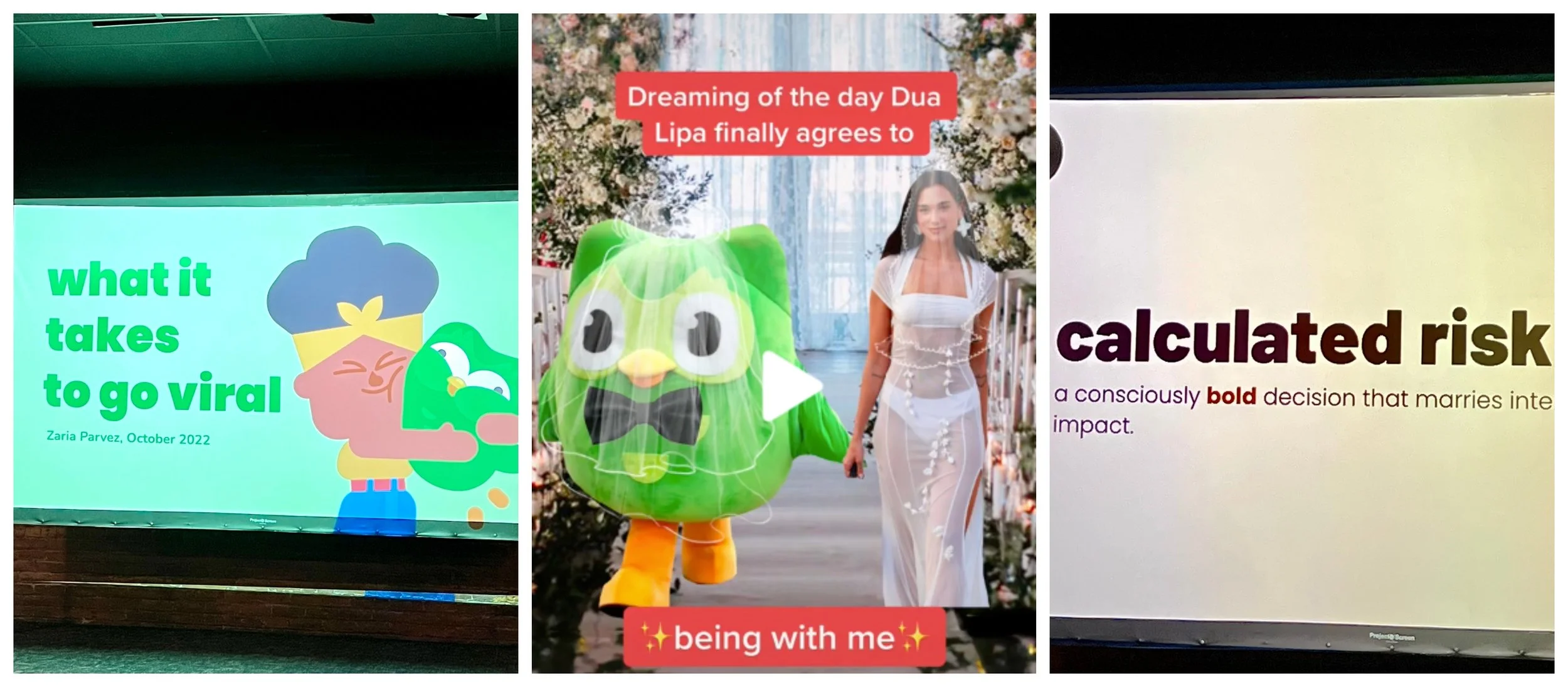 6 Lessons from Duolingo TikTok Strategist Zaria Parvez