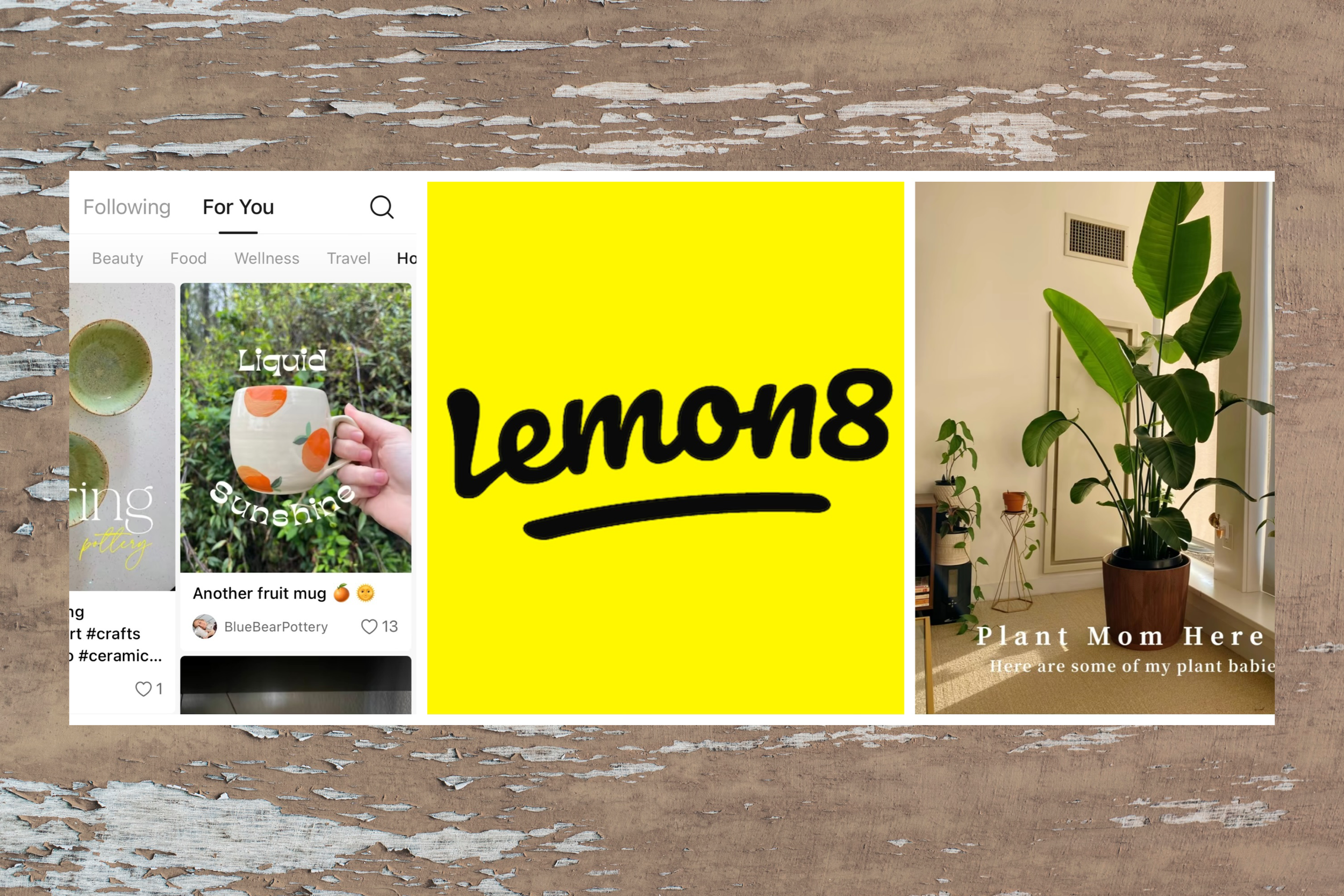 Here's the Scoop on Lemon8