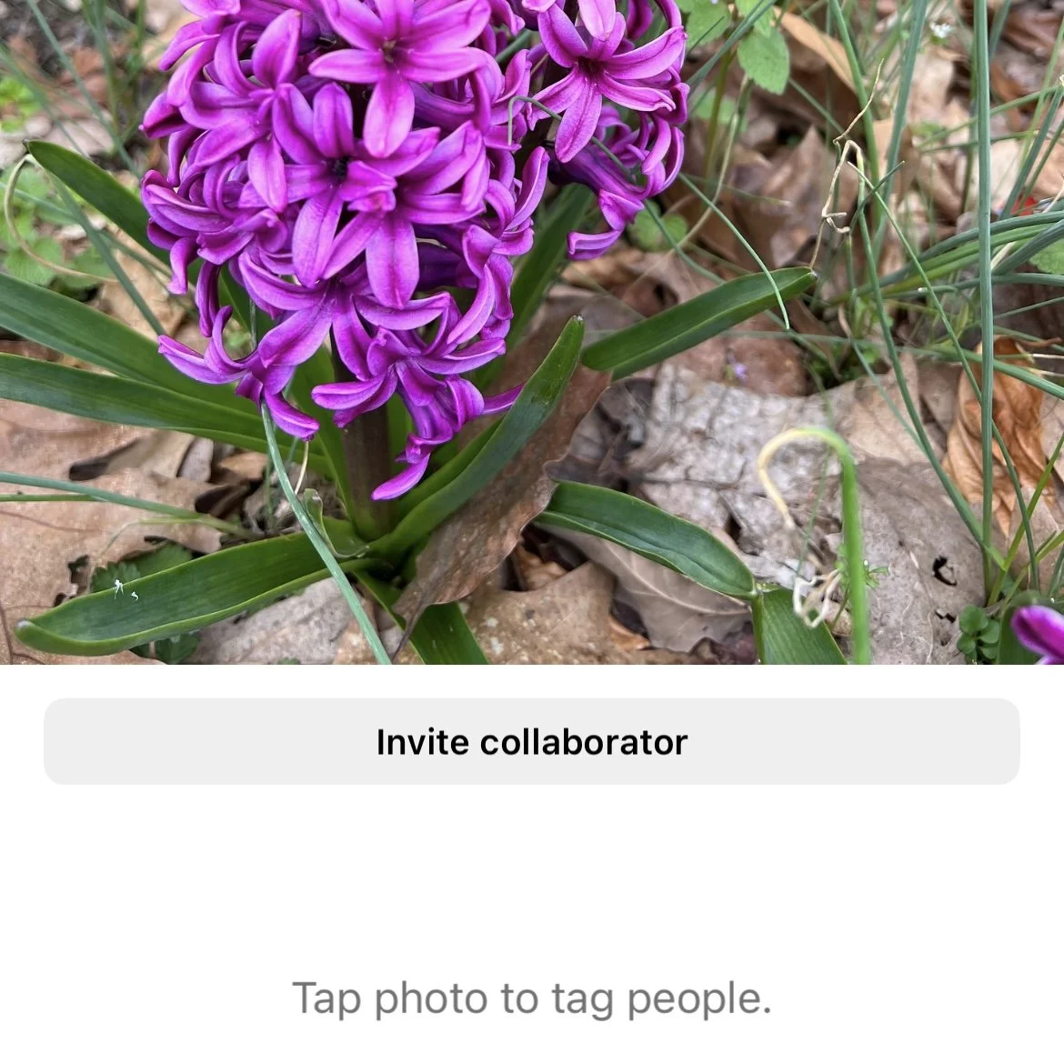 Invite collaborator