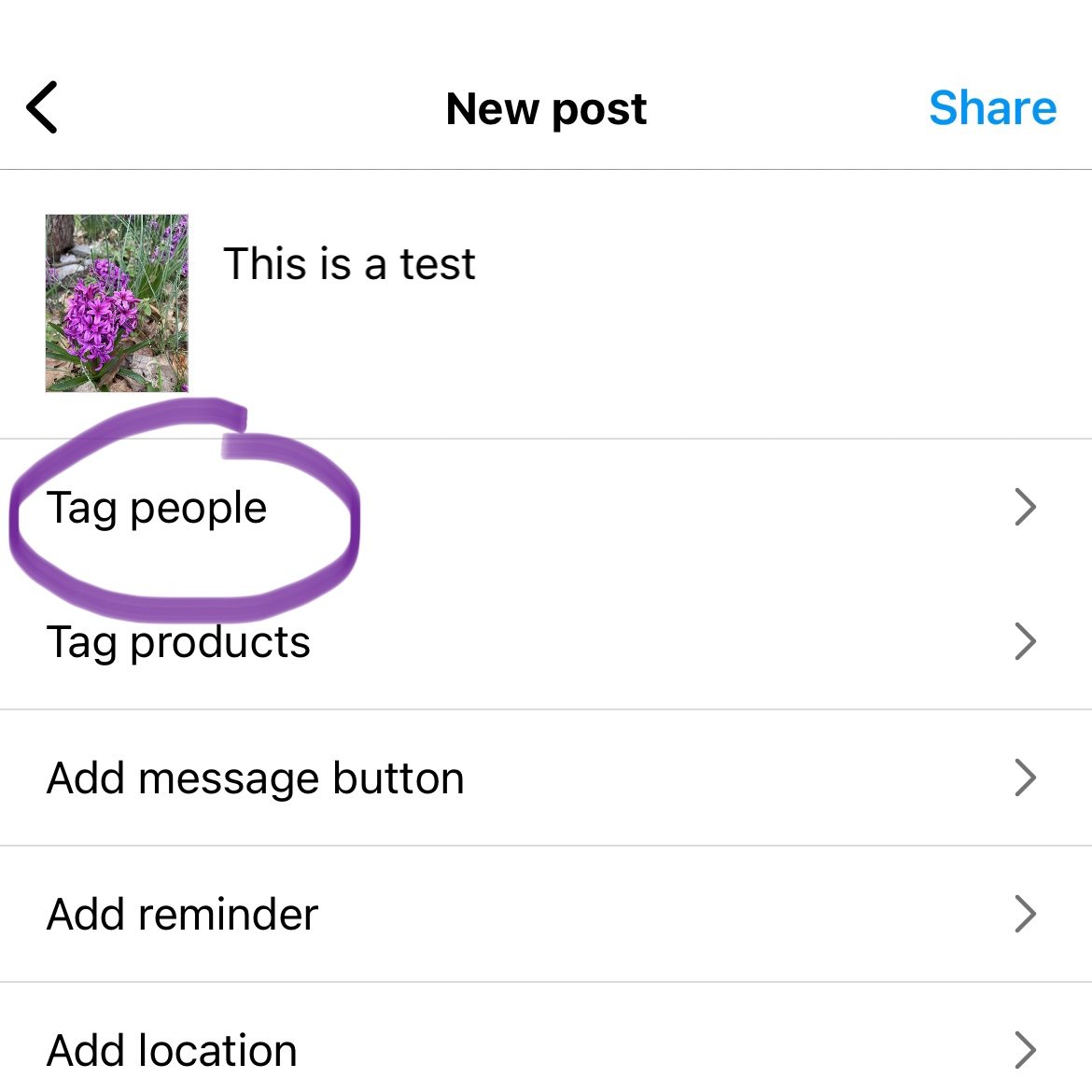 How To Use Instagram Collab Posts Serve Me The Sky Digital How To Use Instagram Collab Posts Serve Me The Sky Digital