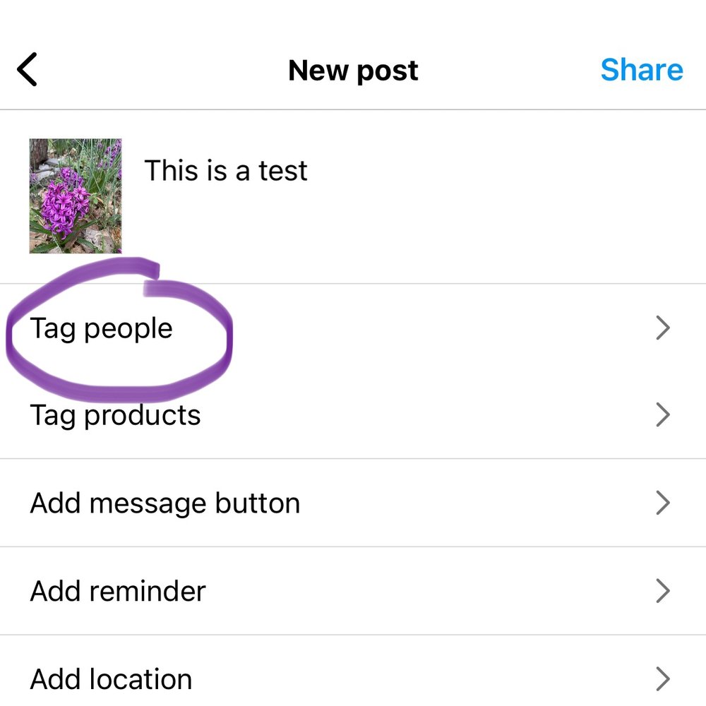 Tag people