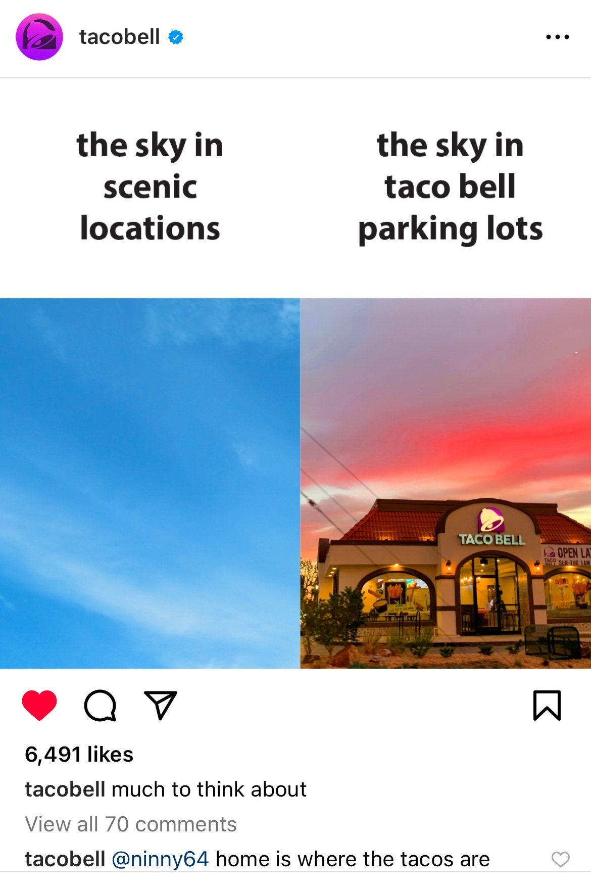 Taco+Bell+funny.jpg