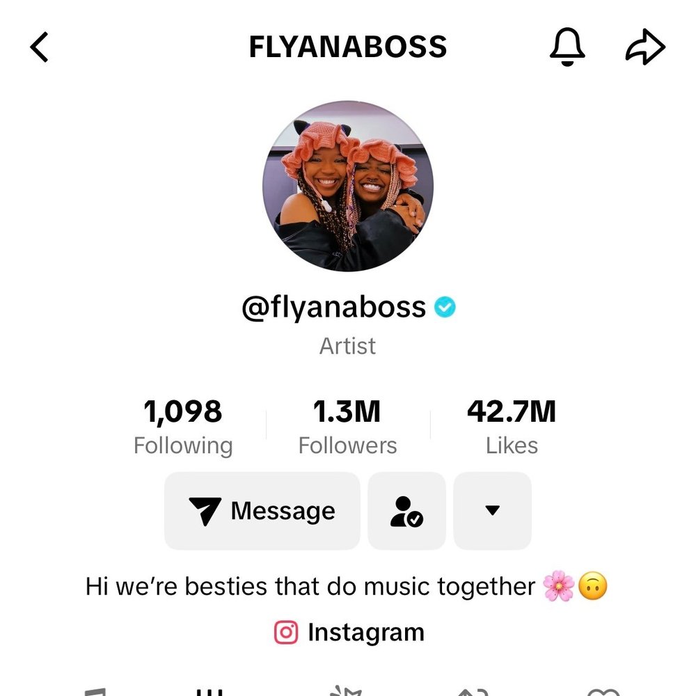 Musicians Flyanaboss